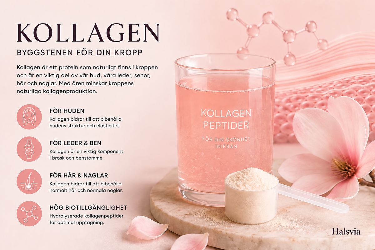 Kollagen – vad är kollagen och varför finns det i kosttillskott?