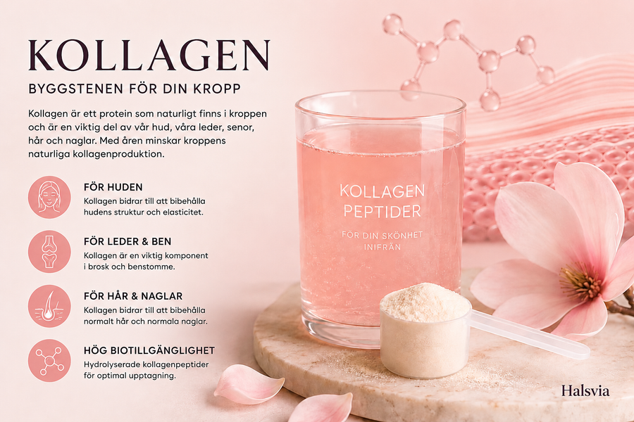 Kollagen – vad är kollagen och varför finns det i kosttillskott?